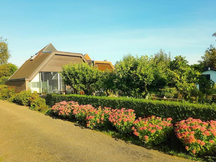 Ferienwohnung Lovely House Till 6 P. Near Amsterdam, Sea Opmeer Exterior foto